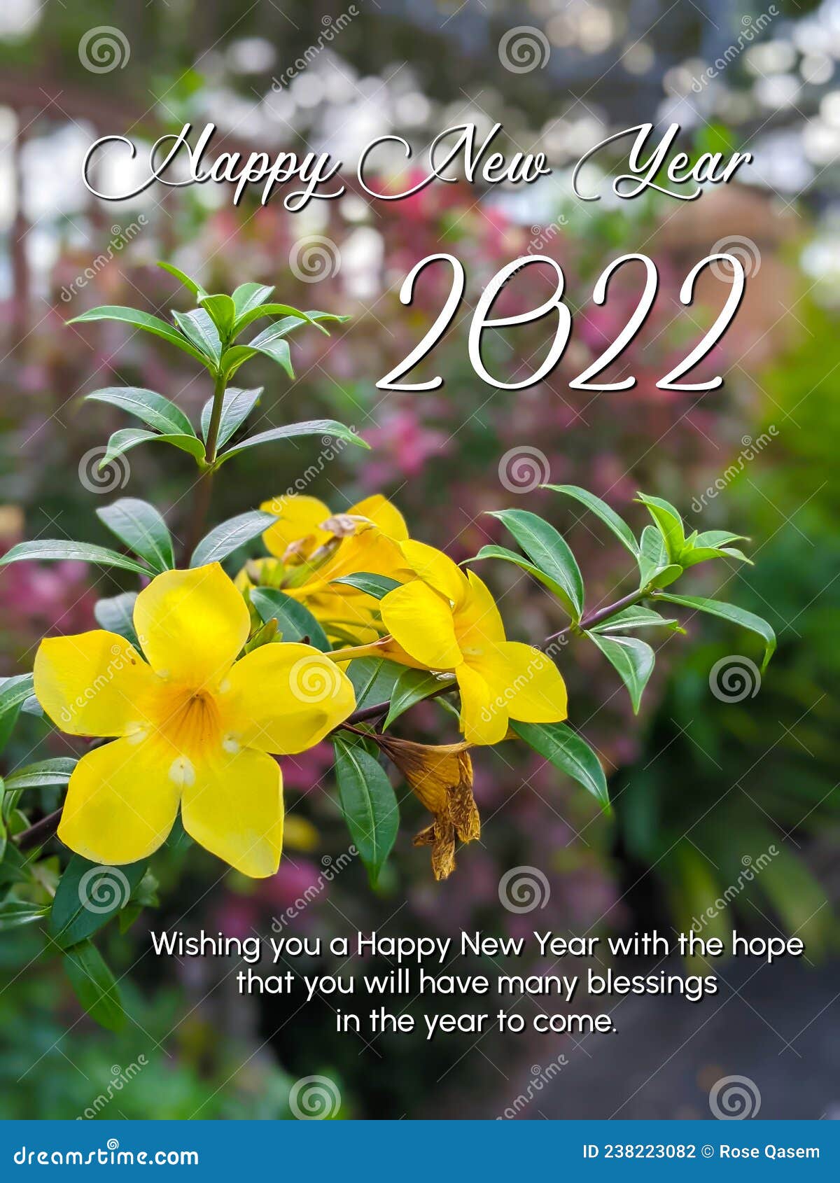 Happy New Year 2022 with Flower Background Stock Photo Image of