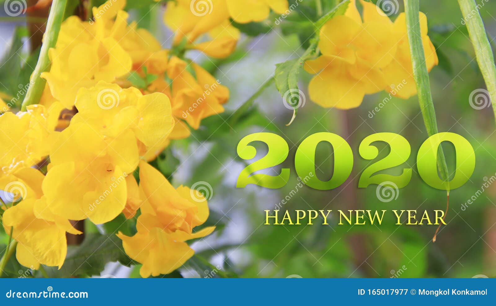 Happy New Year 2020 Greeting Card with Beautiful Yellow Flower ...