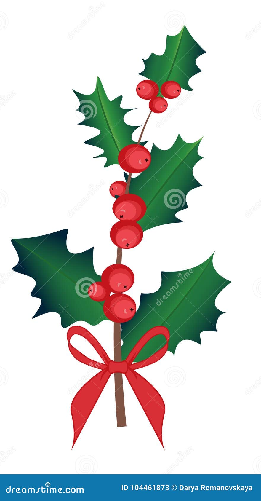 Christmas holly berry branches and bow isolated - vector, Stock vector