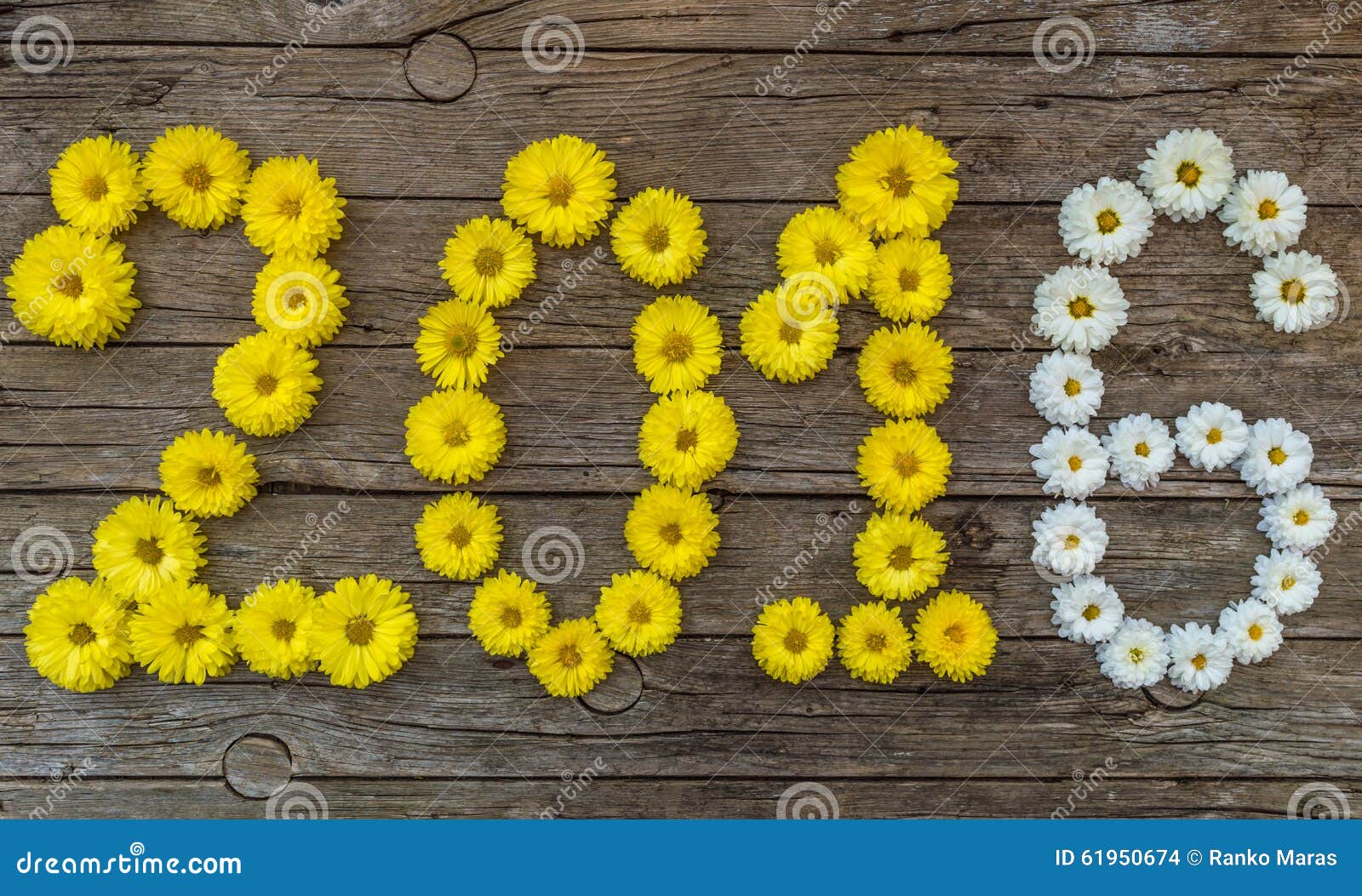 11,062 Happy New Year Flowers Stock Photos - Free & Royalty-Free ...