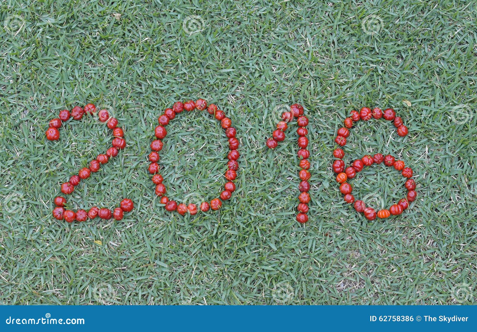 Happy new year with Pitanga , typical Brazilian fruit. Welcome the New Year Two thousand and sixteen .