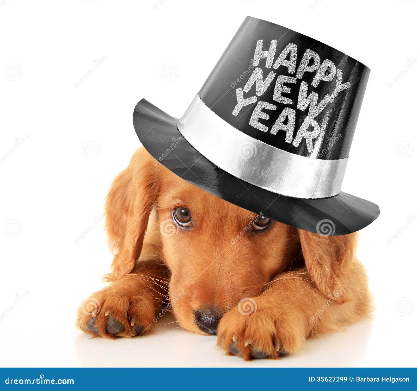 happy new year puppy