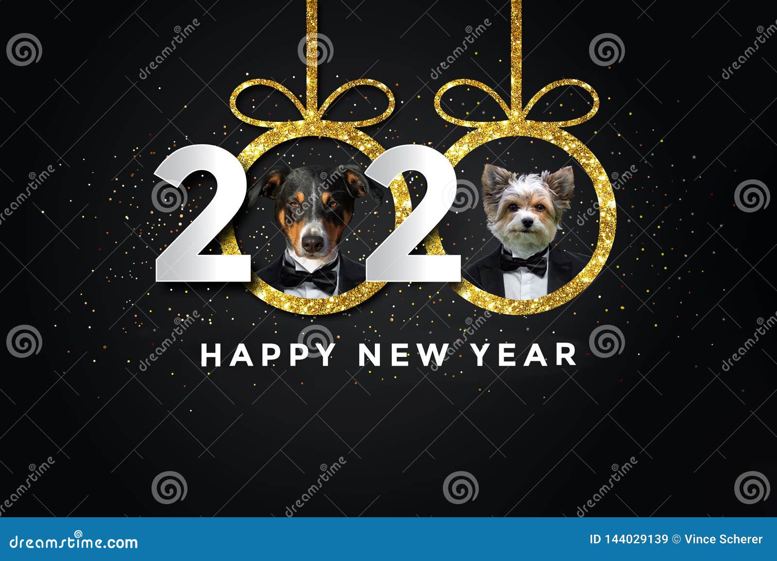 Adorable Chihuahua Happy New Year 2020