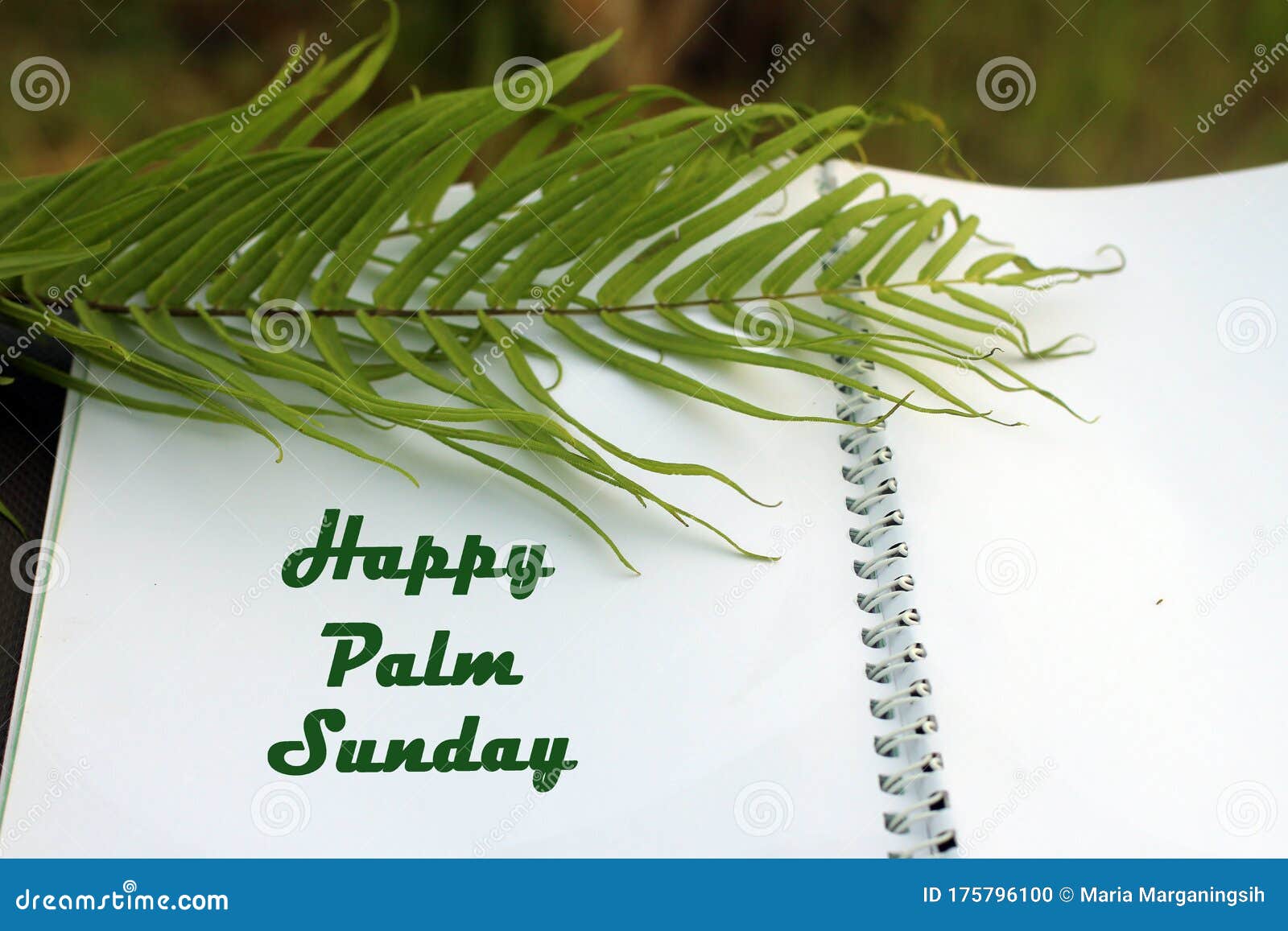 Happy Palm Sunday. Palm Sunday Concept with Fern Leaf on an Open ...