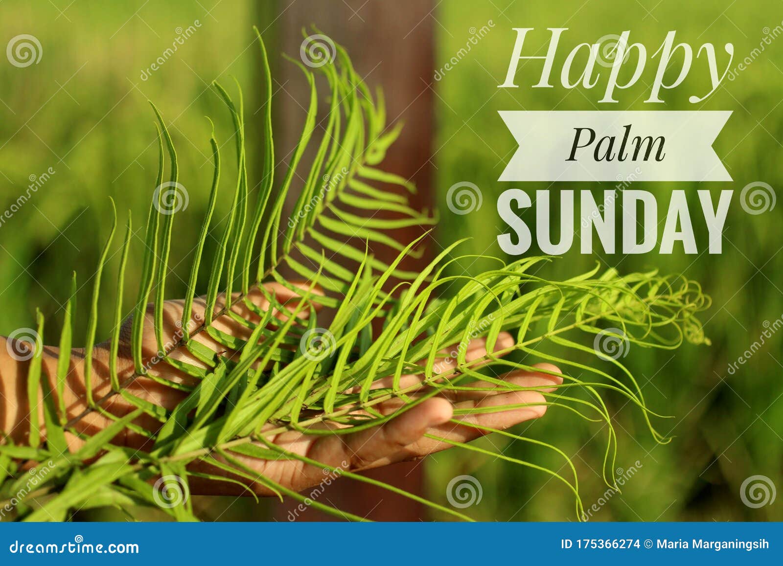 Happy Palm Sunday Text Desig on Fresh Green Bakcgorund and Fern or ...
