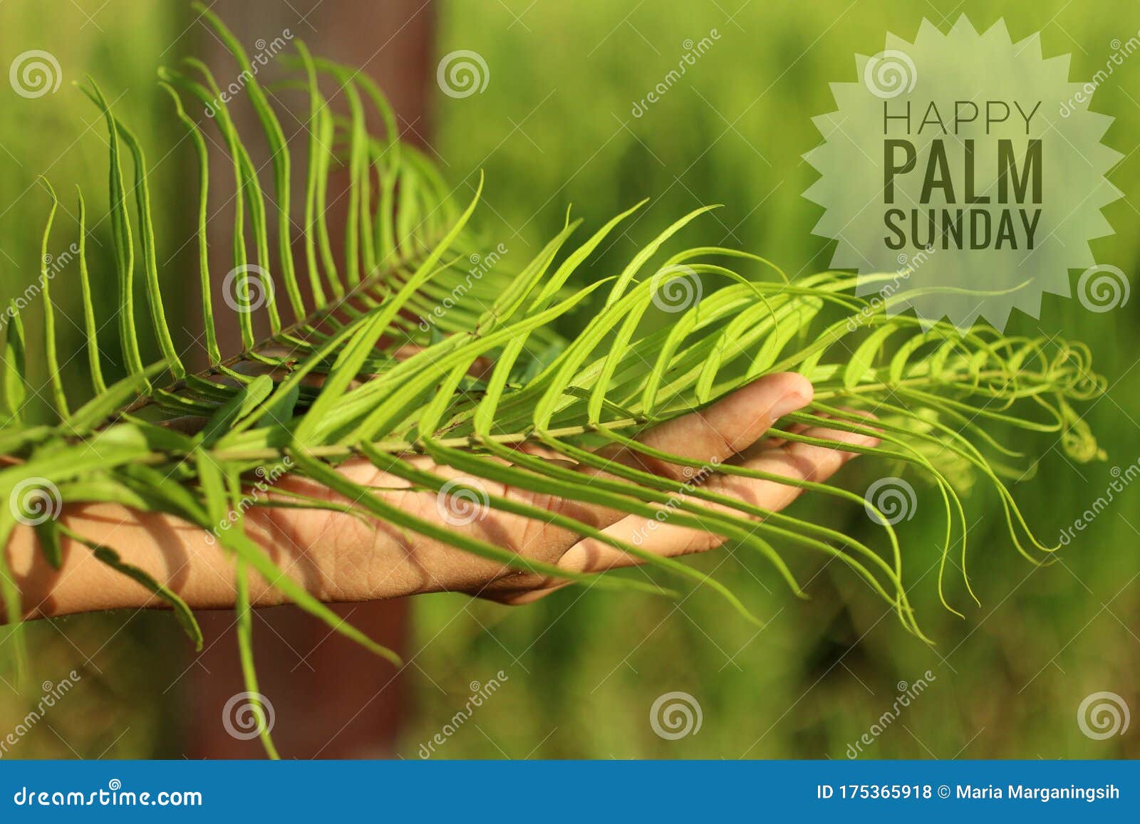 Happy Palm Sunday Text Design on Fresh Green Bakcgorund and Fern ...