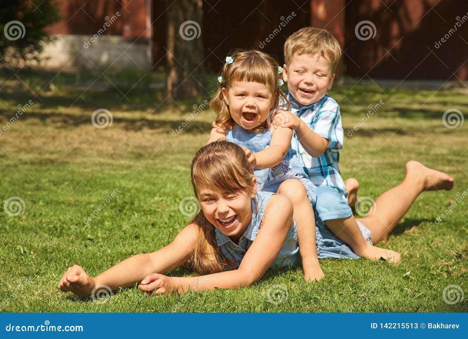 Happy Playful Children Outdoors in the Summer on Grass in a Backyard