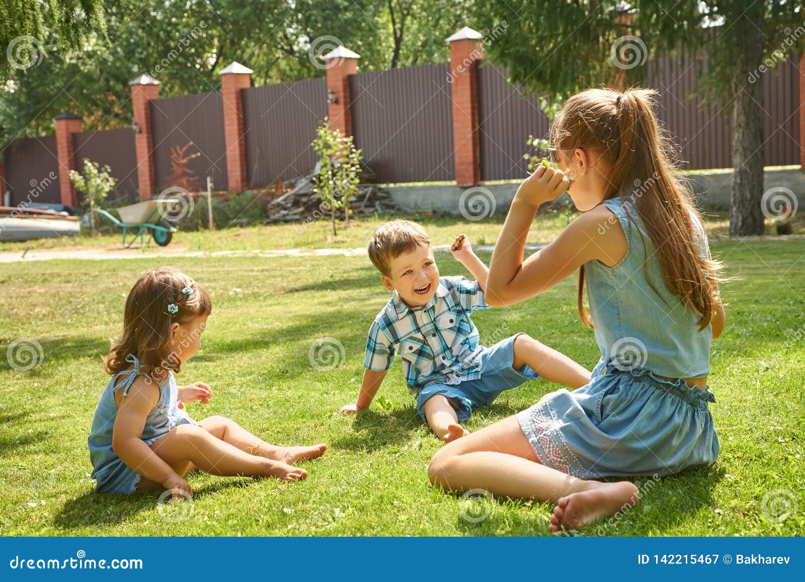 Happy Playful Children Outdoors in the Summer on Grass in a Backyard