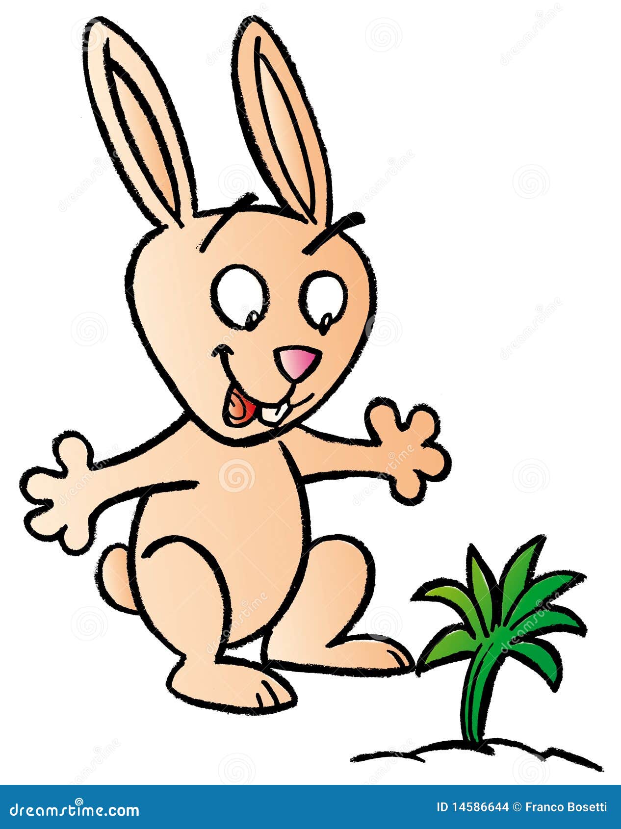 cartoon images rabit cartoon images rabit