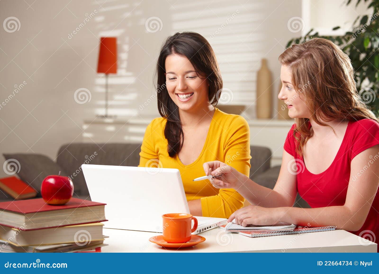 happy schoolgirls learning with computer