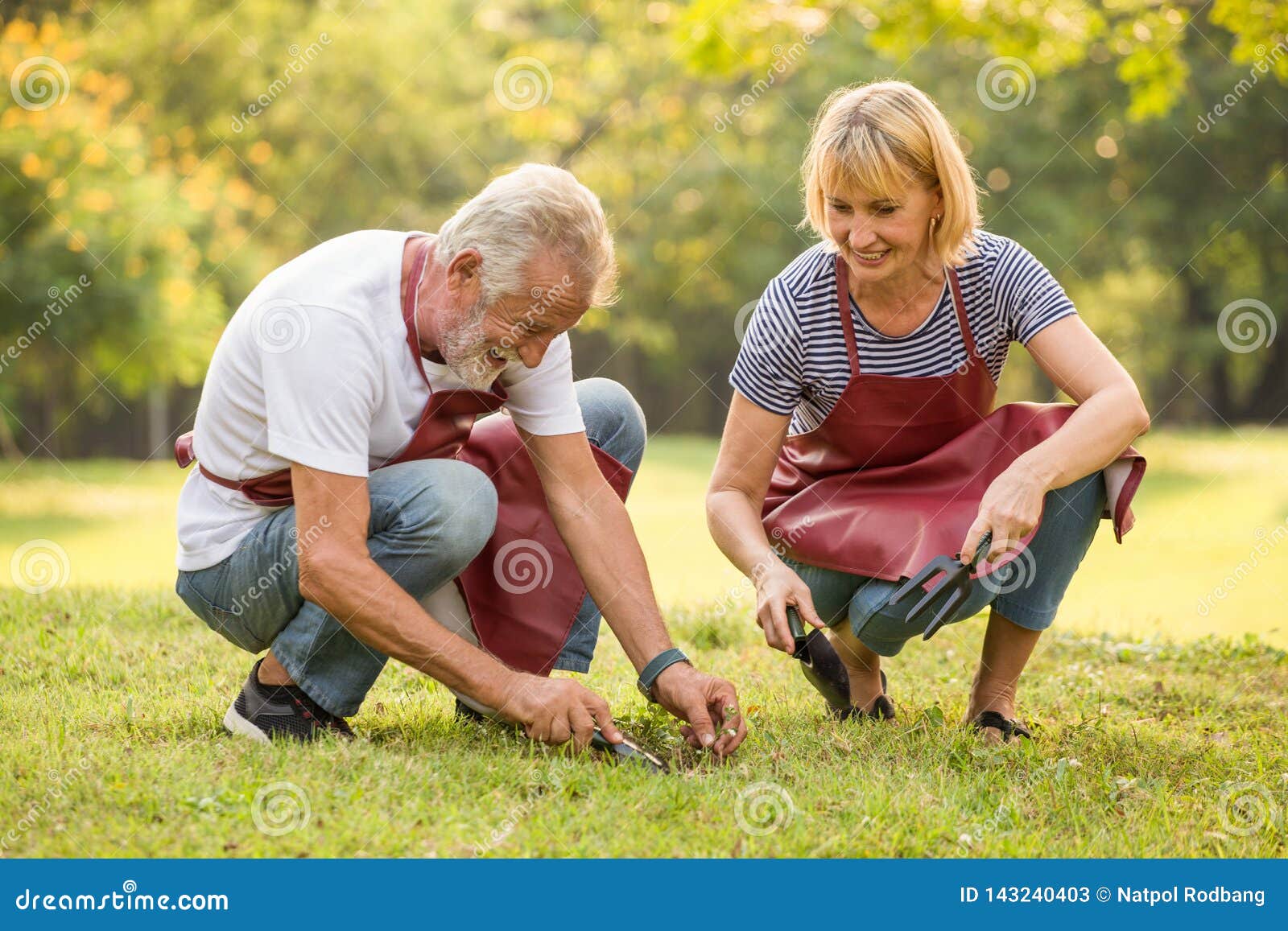 Happy Senior Couple Gardening In The Backyard Garden