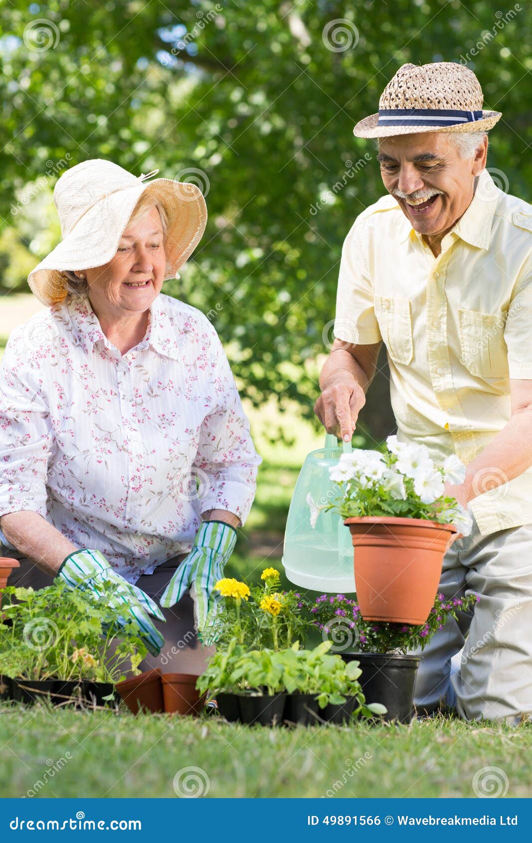 Happy Senior Couple Gardening Stock Photo - Image of couple, caucasian ...