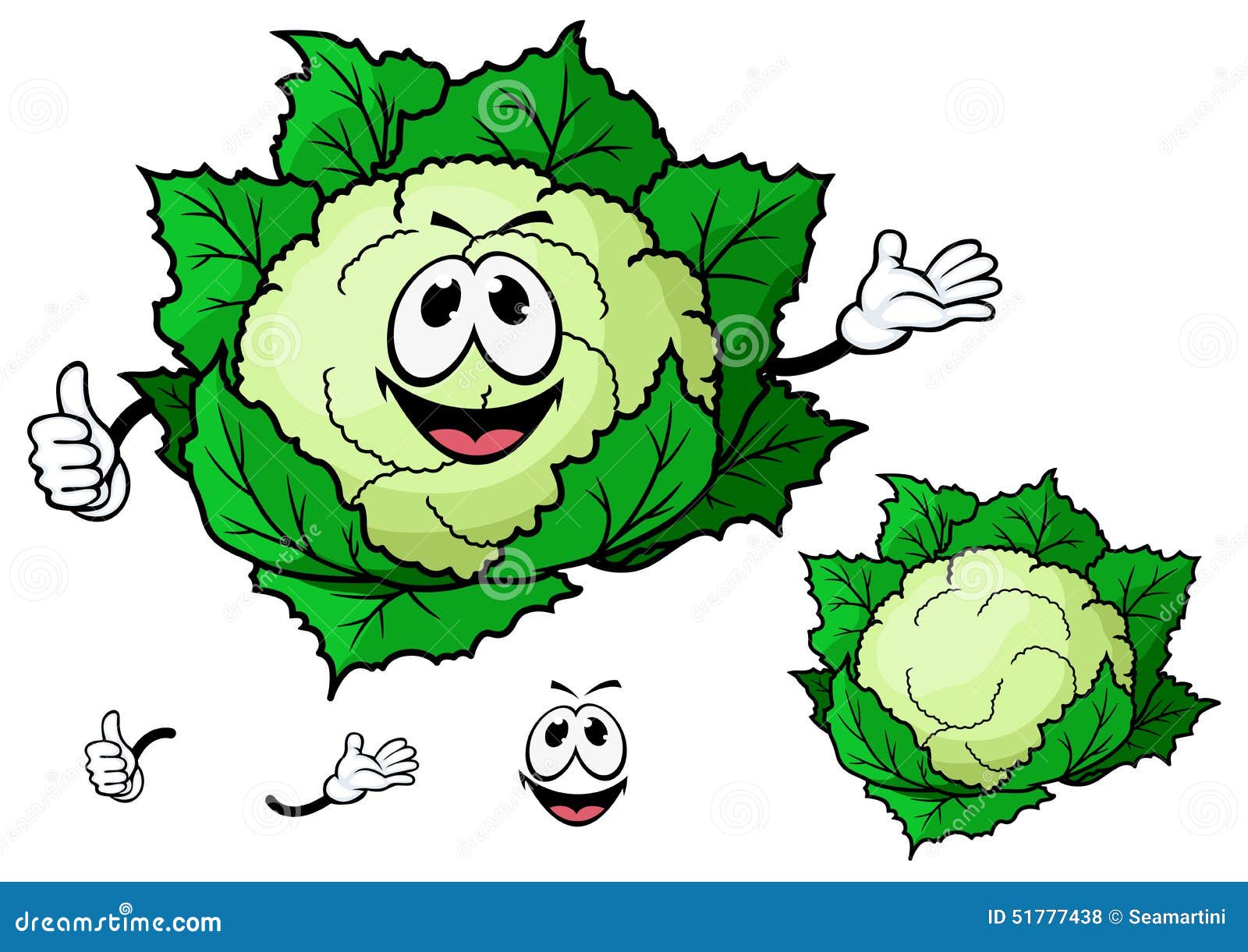 Happy Smiling Cartoon Cauliflower Vegetable Stock Vector - Illustration of  meal, natural: 51777438