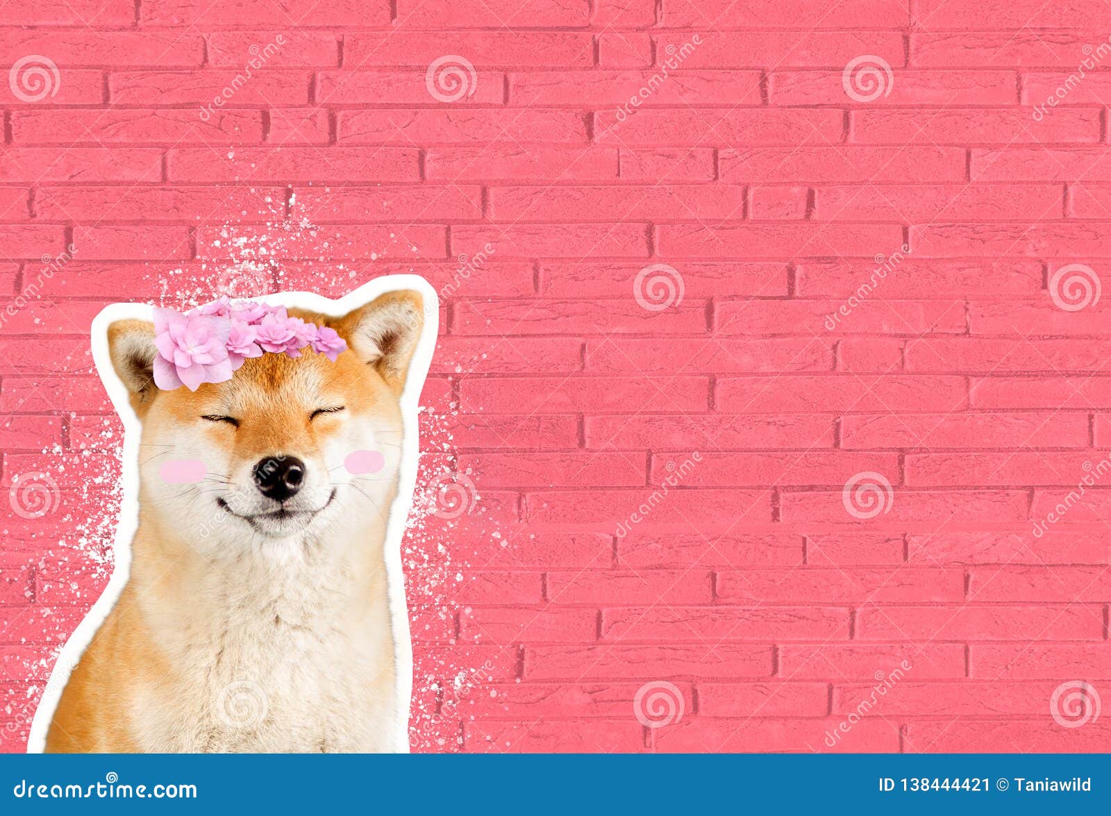 Happy Smiling Shiba Inu Dog in Front of Pink Brick Wall, Funny Cartoon Zine  Style Stock Illustration - Illustration of entertainment, brick: 138444421