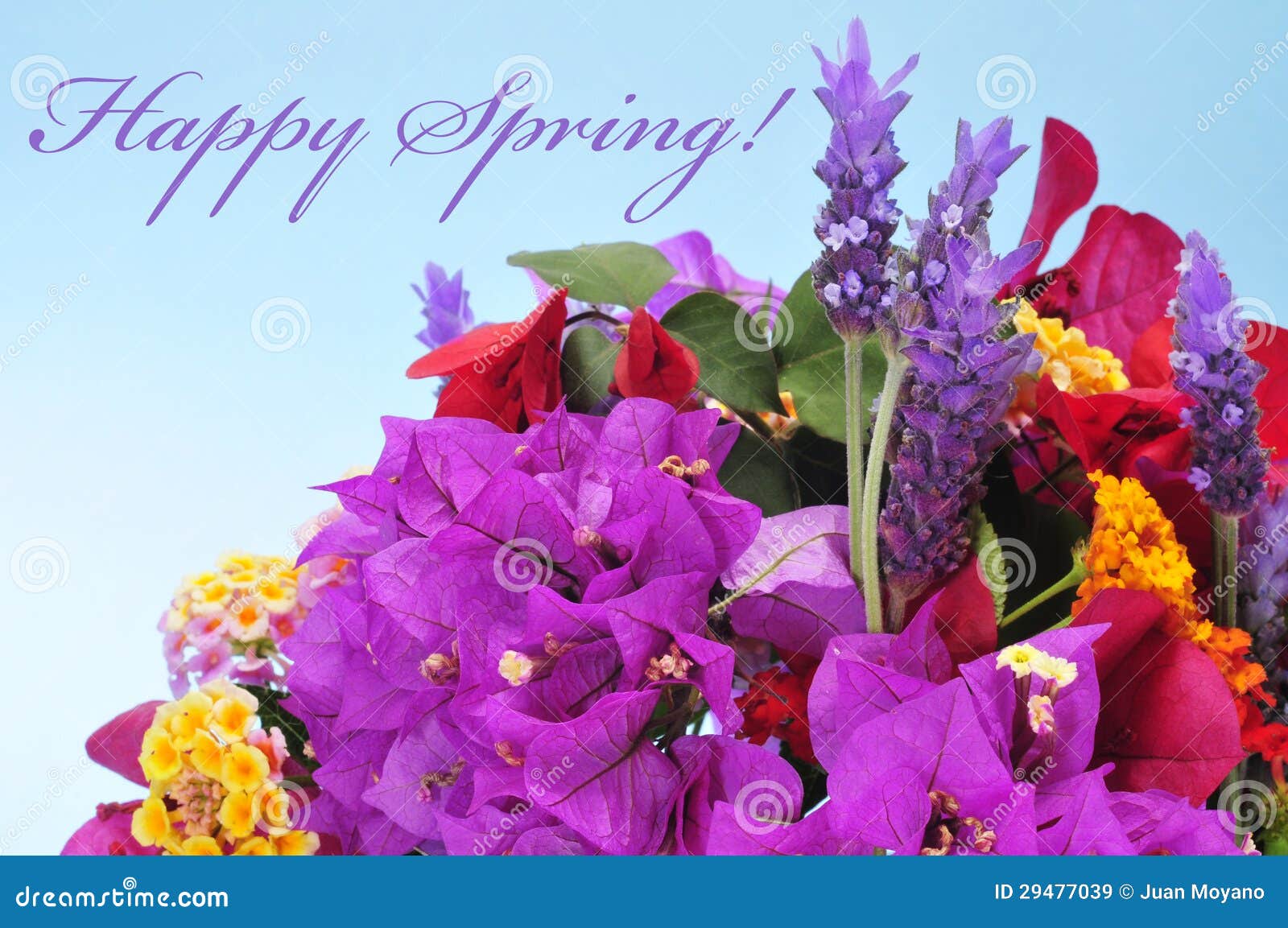 Happy Spring Images Free mystrangelifewithonedirection