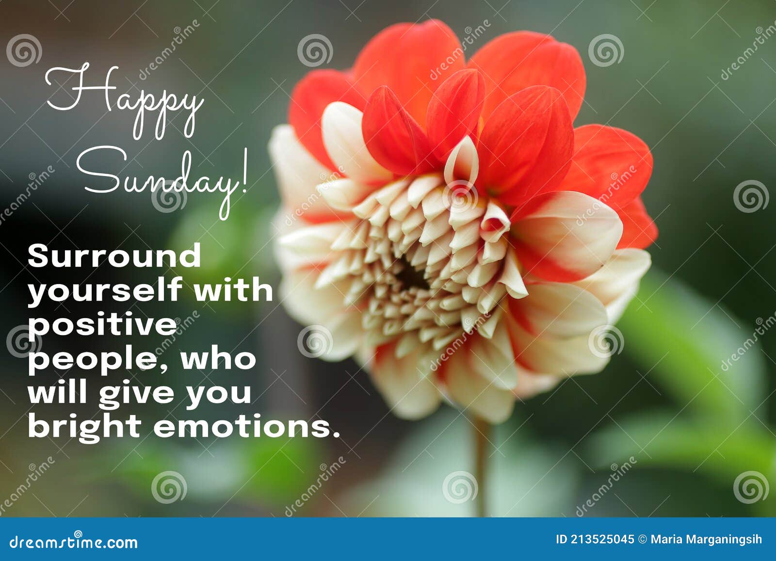 Happy Sunday. Surround Yourself with Positive People, Who Will ...