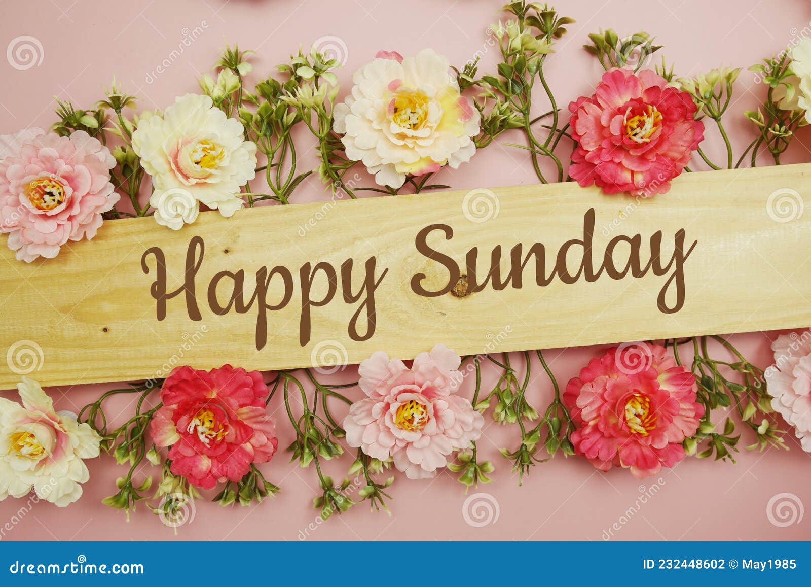 Happy Sunday Typography Text and Flower Decorate on Pink ...