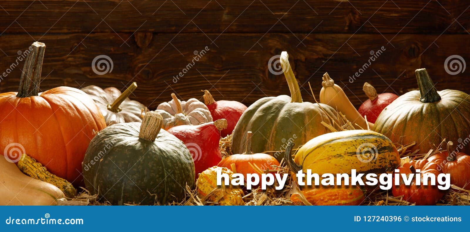 Happy Thanksgiving Cards with Pumpkins and Copy Space on Rustic ...