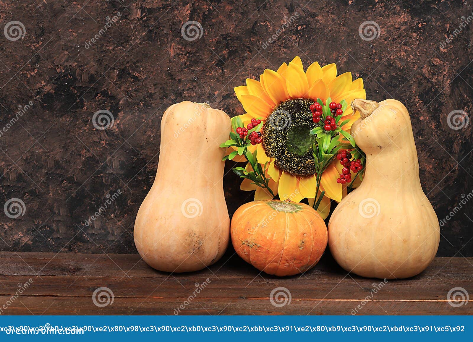 happy thanksgiving concept, postcard. autumn background with seasonal pumpkins and flowers on wooden background, copy space,