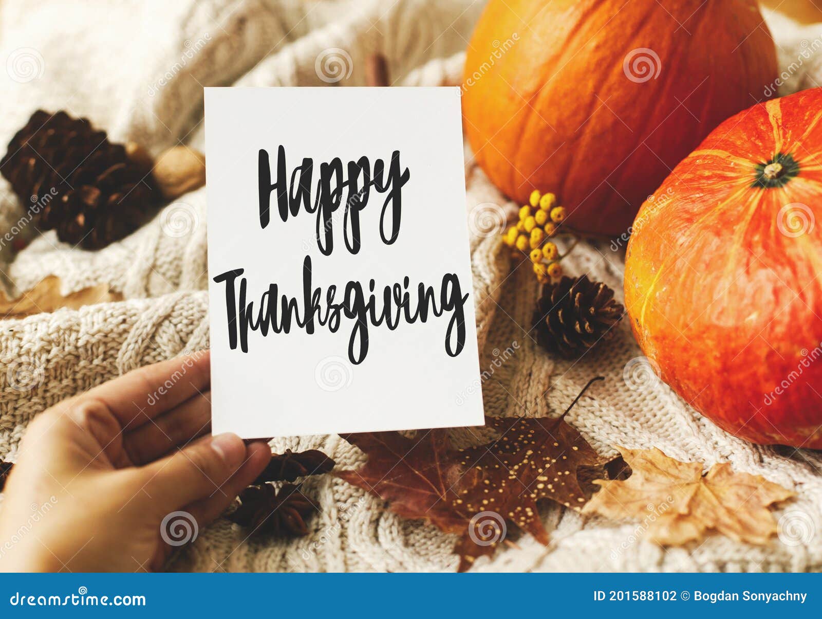 Happy Thanksgiving Greeting Card Happy Thanksgiving Text Handwritten On Empty Greeting Card In Hand On Background Of Pumpkin Stock Photo Image Of Thanksgiving Text 201588102