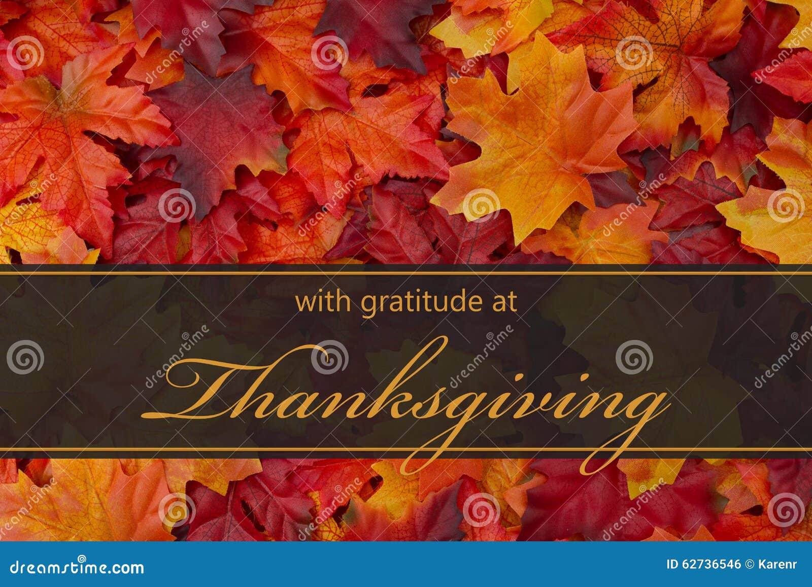 happy thanksgiving greeting