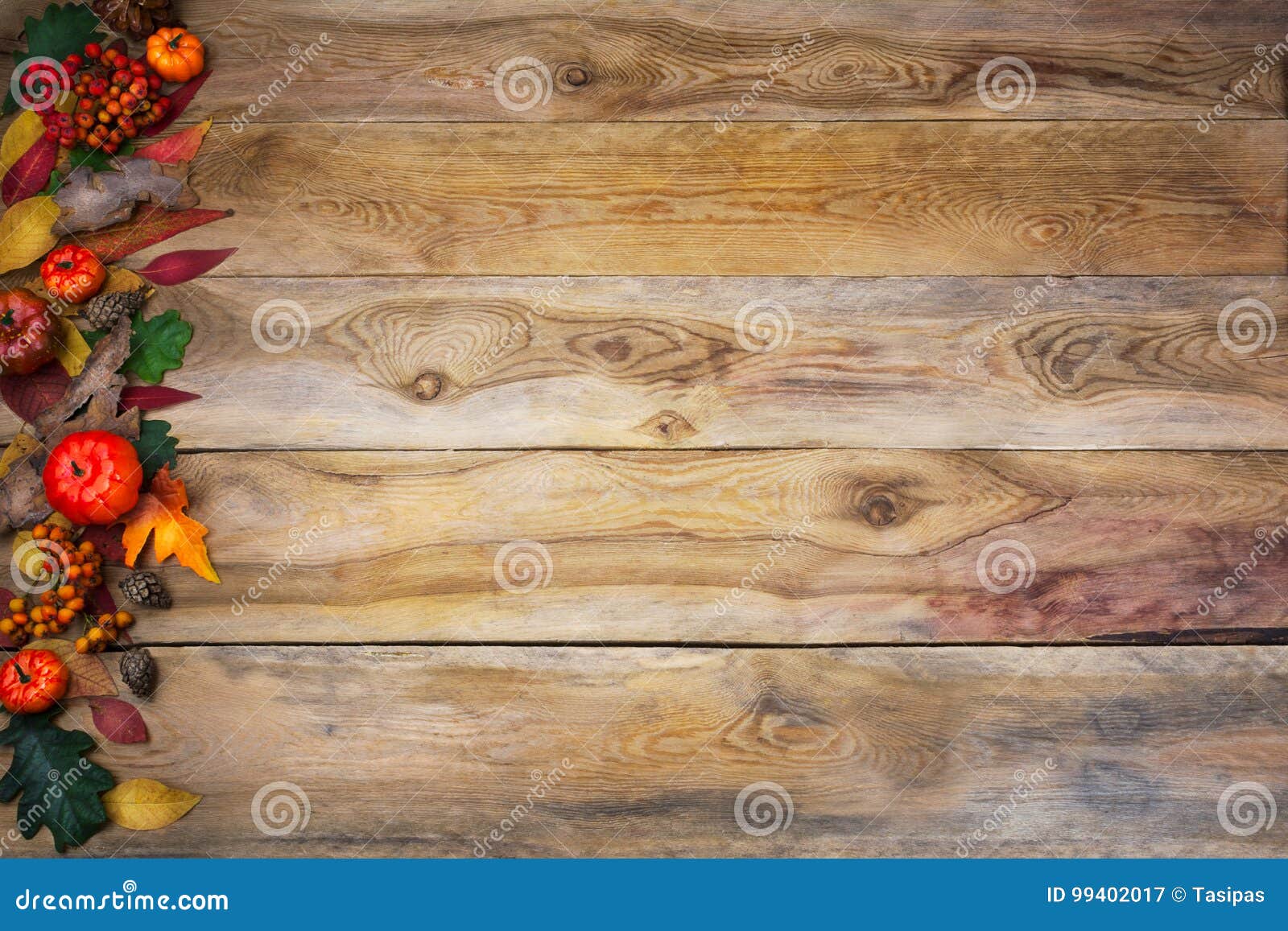 Thanksgiving Background With Leaves And Rowan On Old Table 