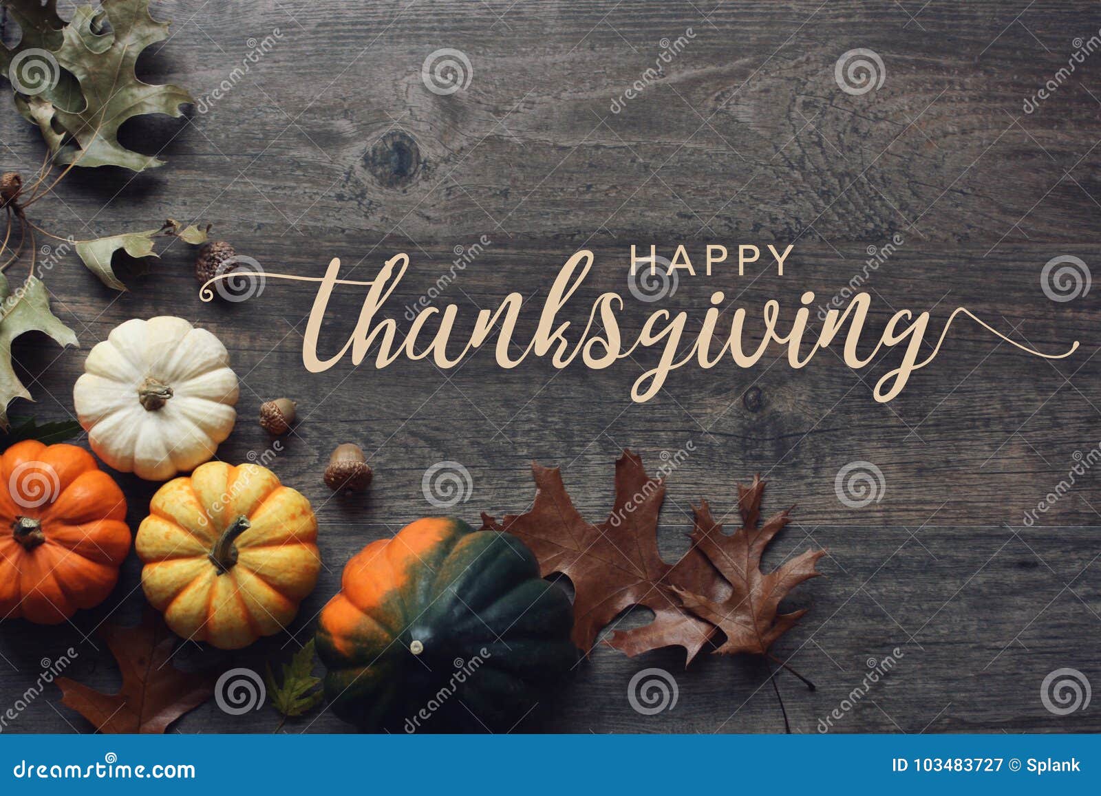 happy thanksgiving greeting text with pumpkins, squash and leaves over dark wood background