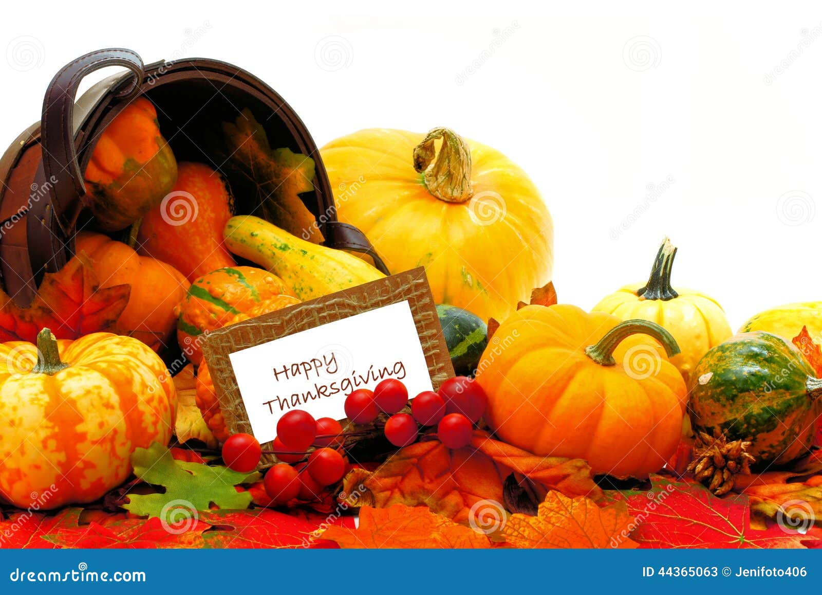 Happy Thanksgiving stock image. Image of leaf, crop, bucket - 44365063