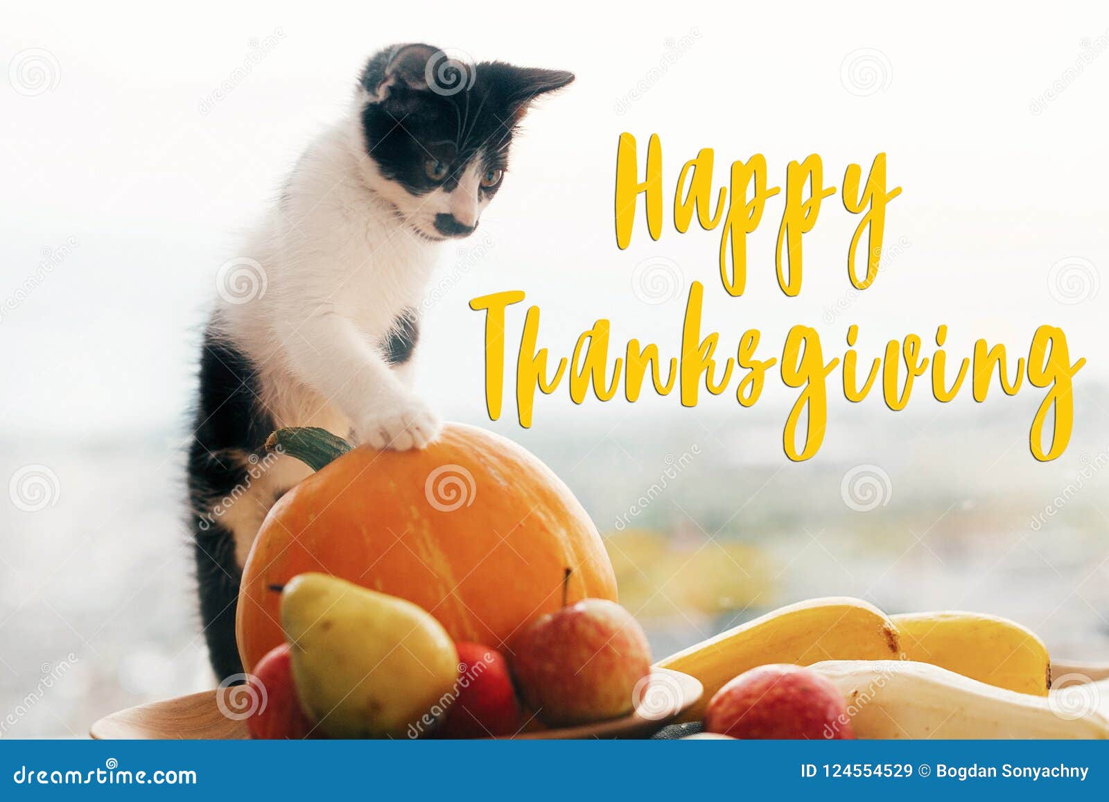What is thanksgiving childrens book