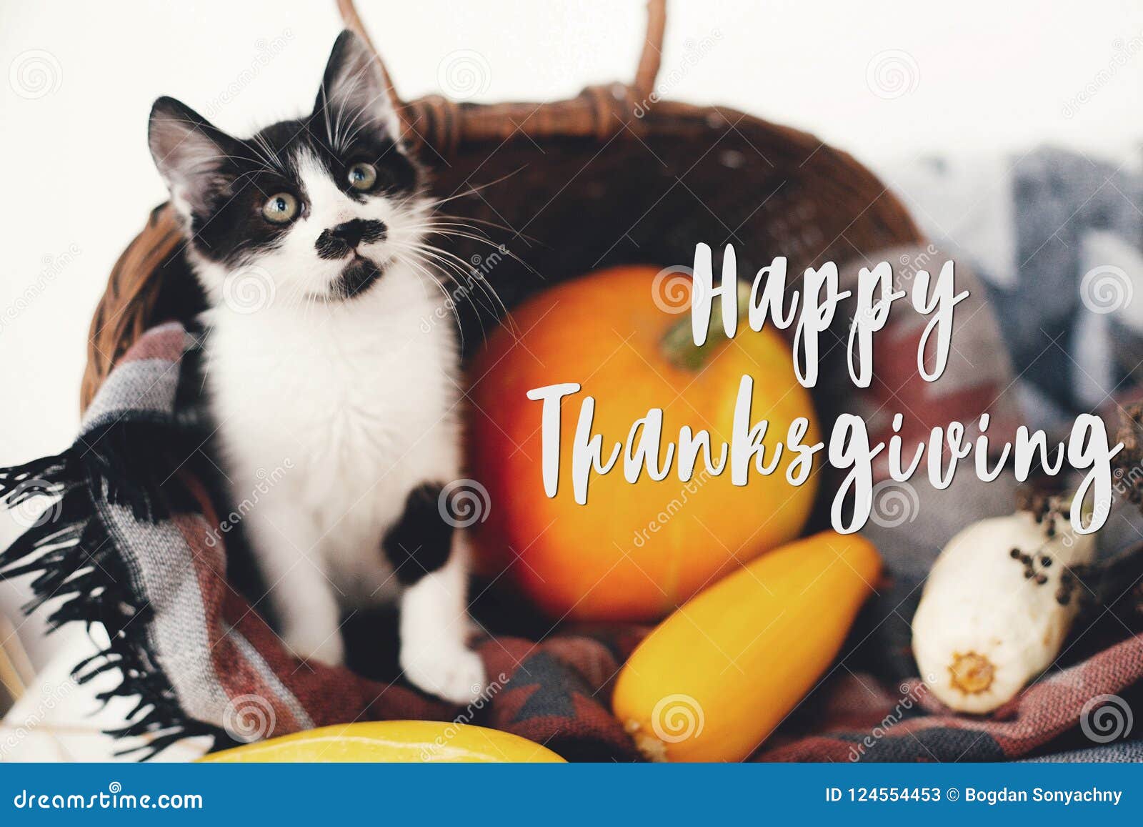 What is thanksgiving childrens book