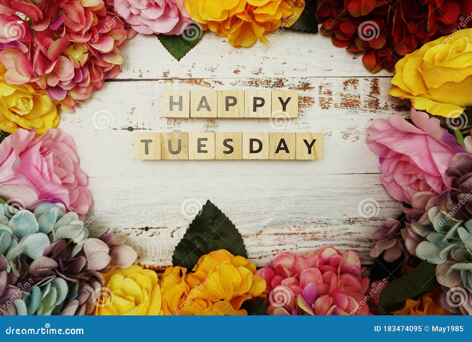 Happy Tuesday Alphabet Letter with Colorful Flowers Border Frame on ...