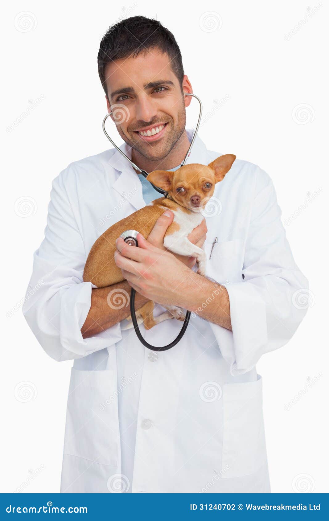Happy Vet Checking Dog with Stethoscope Stock Photo Image of