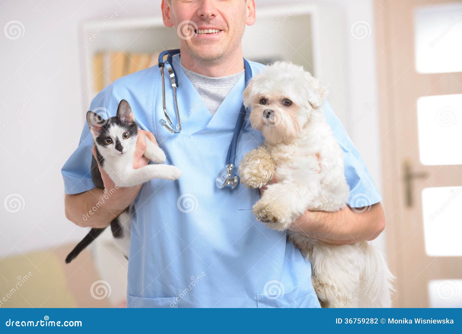 Happy vet with dog and cat stock photo. Image of smile ...