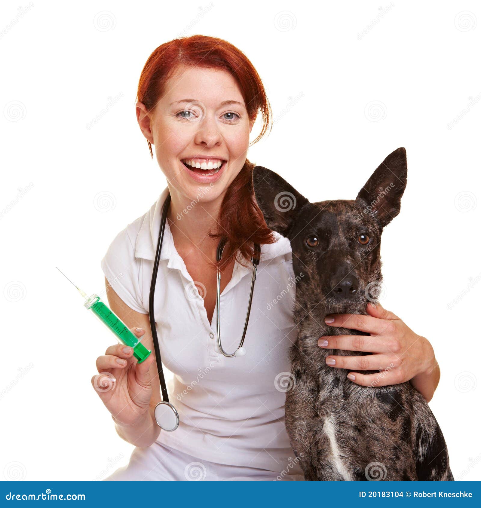Happy Veterinarian with Dog Stock Photo Image of cute, assistent