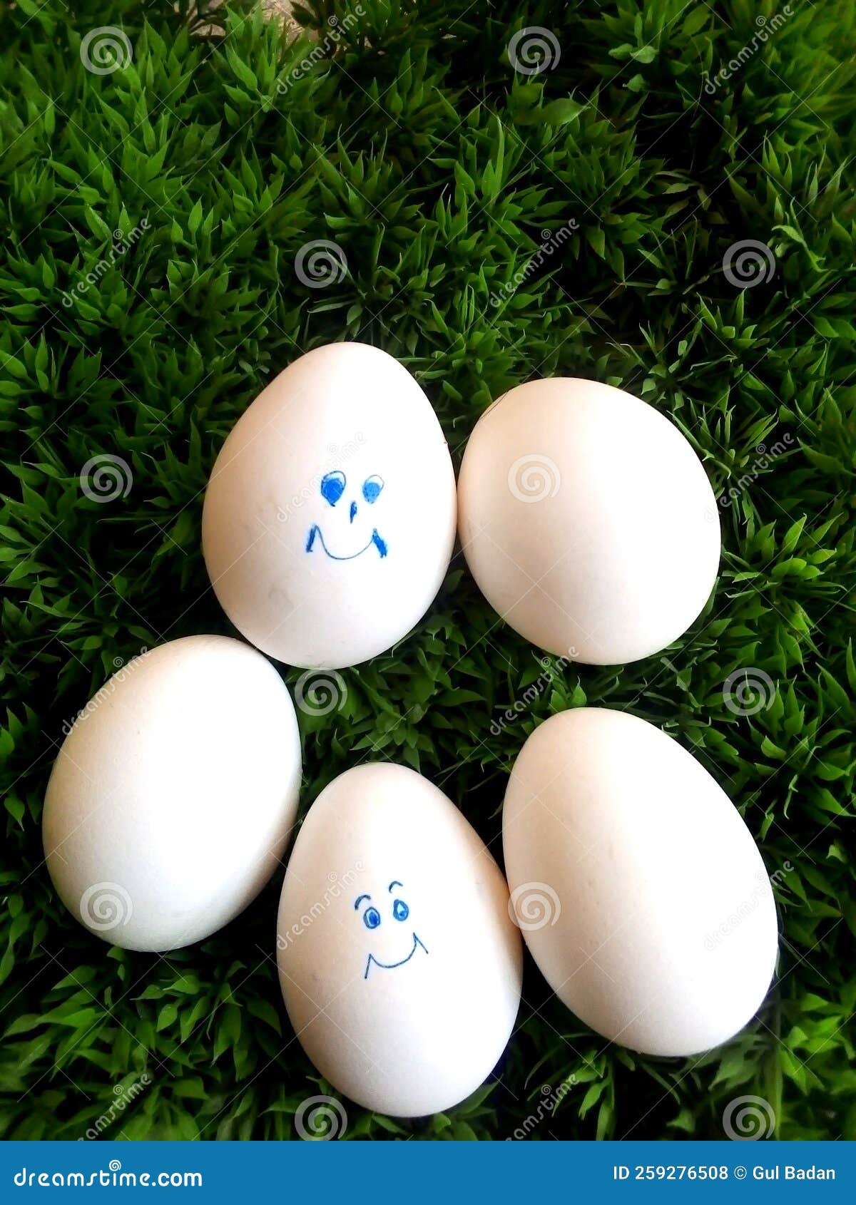 Happy White Eggs Wallpaper Laying on Green Grass Stock Photo Image of