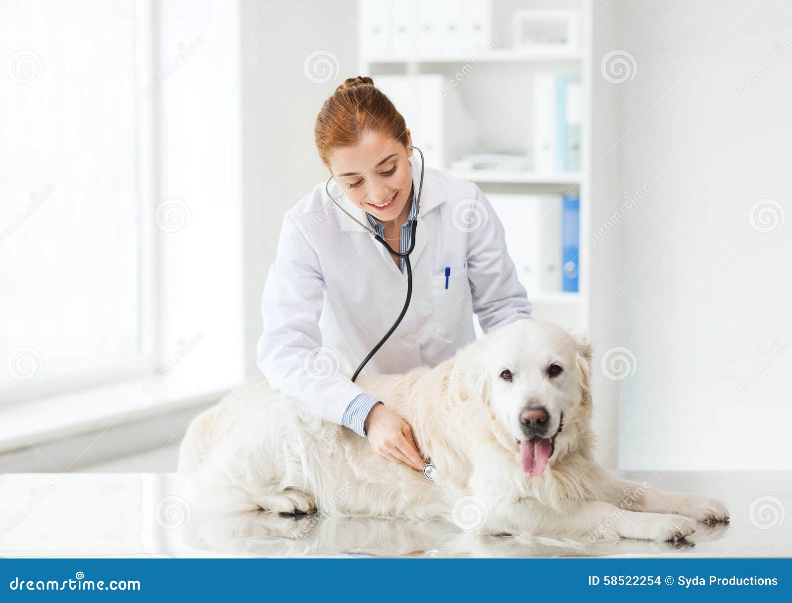 pet animal doctor