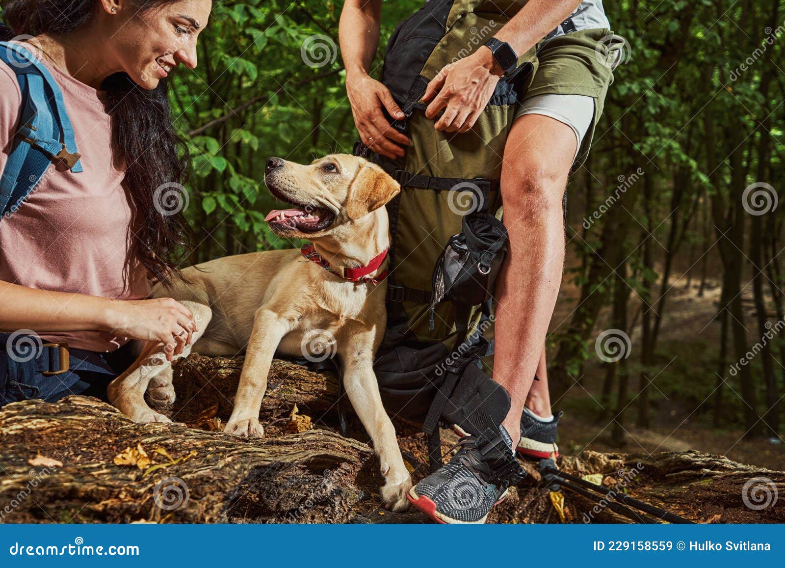 Happy Woman Enjoying Time with Boyfriend and Pet Outdoors Stock Image -  Image of couple, romance: 229158559