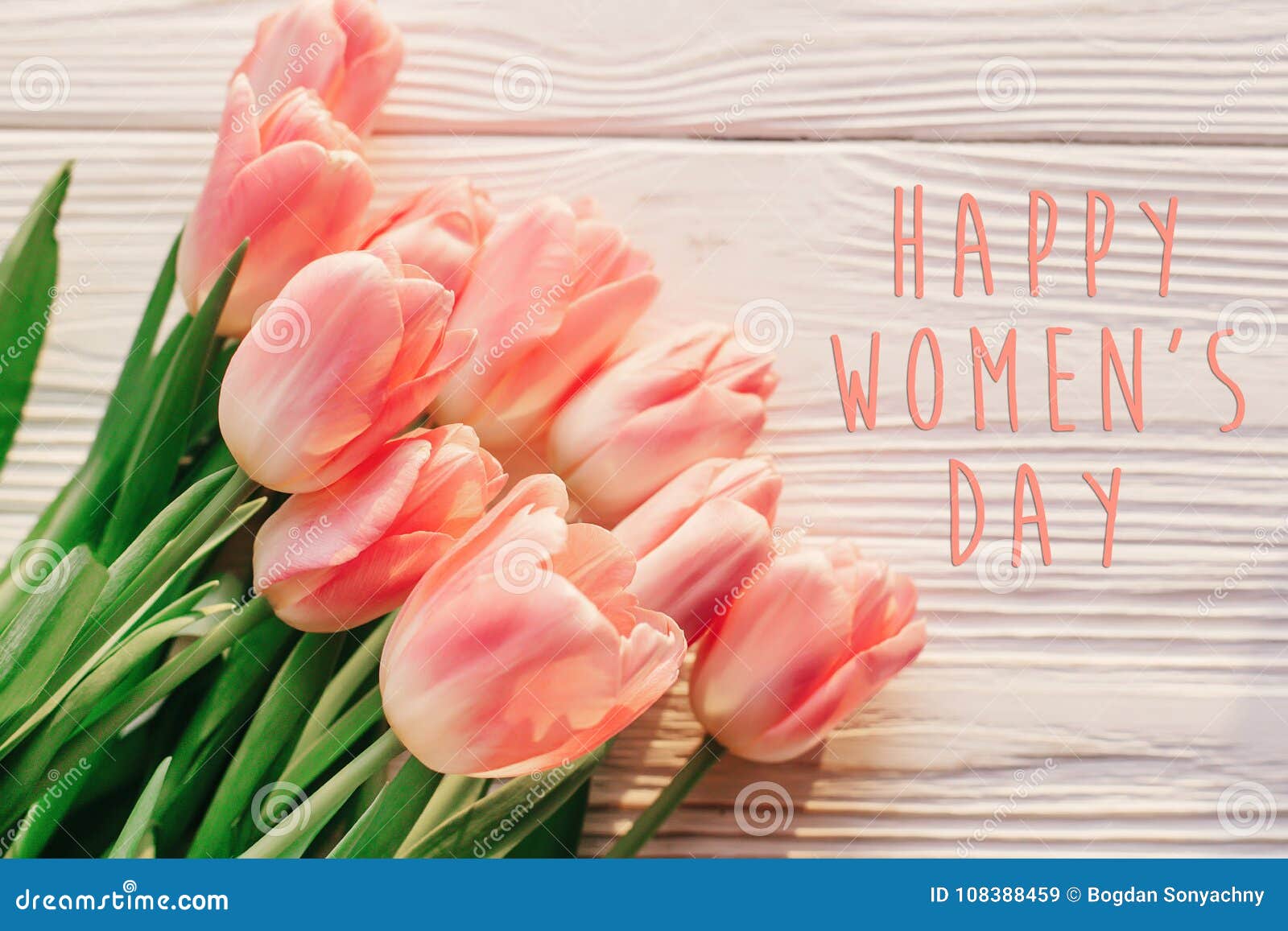 Happy Women`s Day Text on Pink Tulips on White Rustic Wooden Bac ...