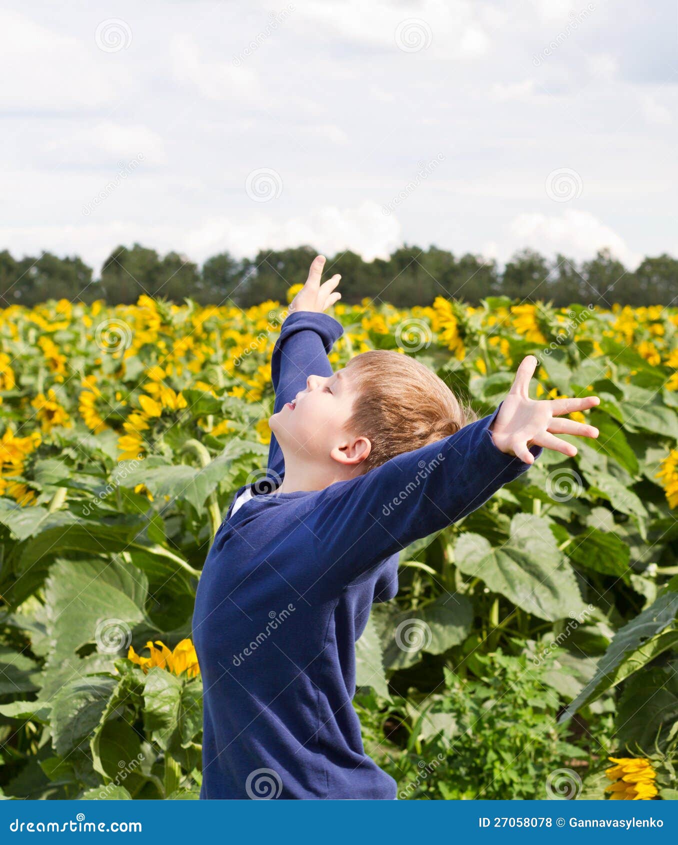 Happy Young Boy in Sunflower Field Stock Photo Image of arms, boys