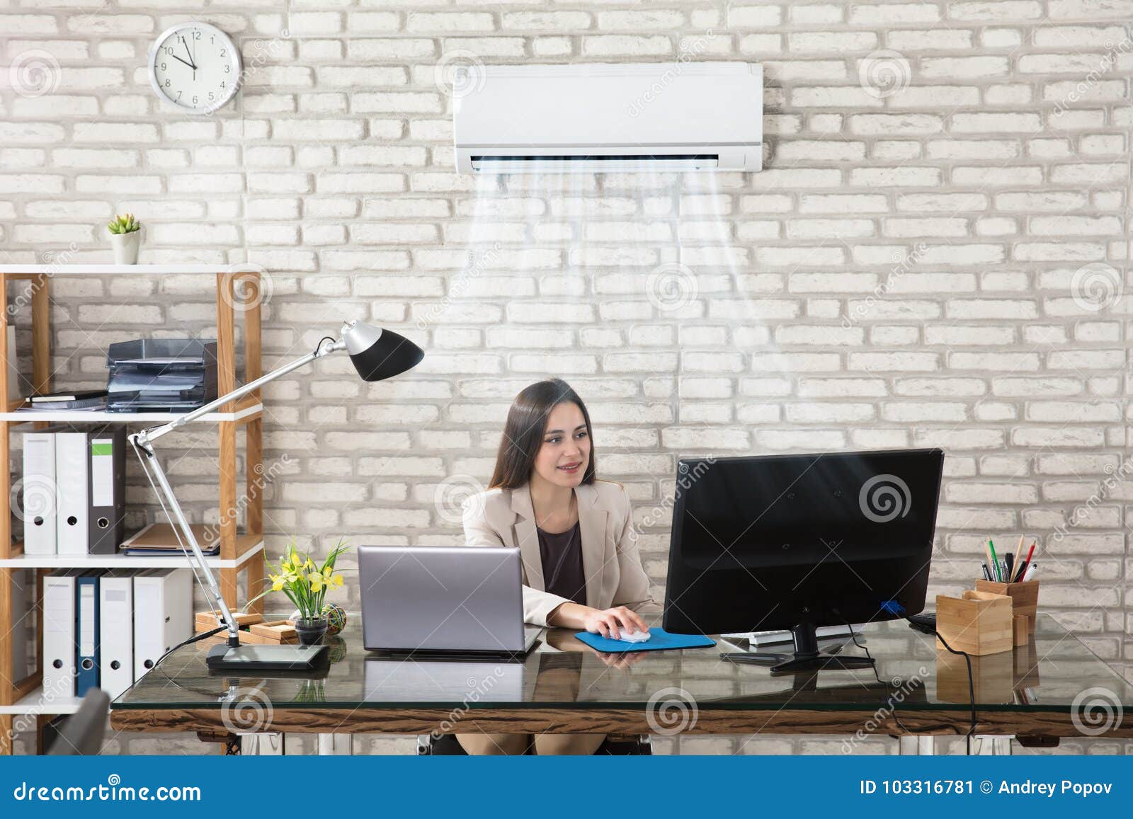Businesswoman Working in Office with Air Conditioning Stock Image - Image  of breeze, conditioner: 103316781