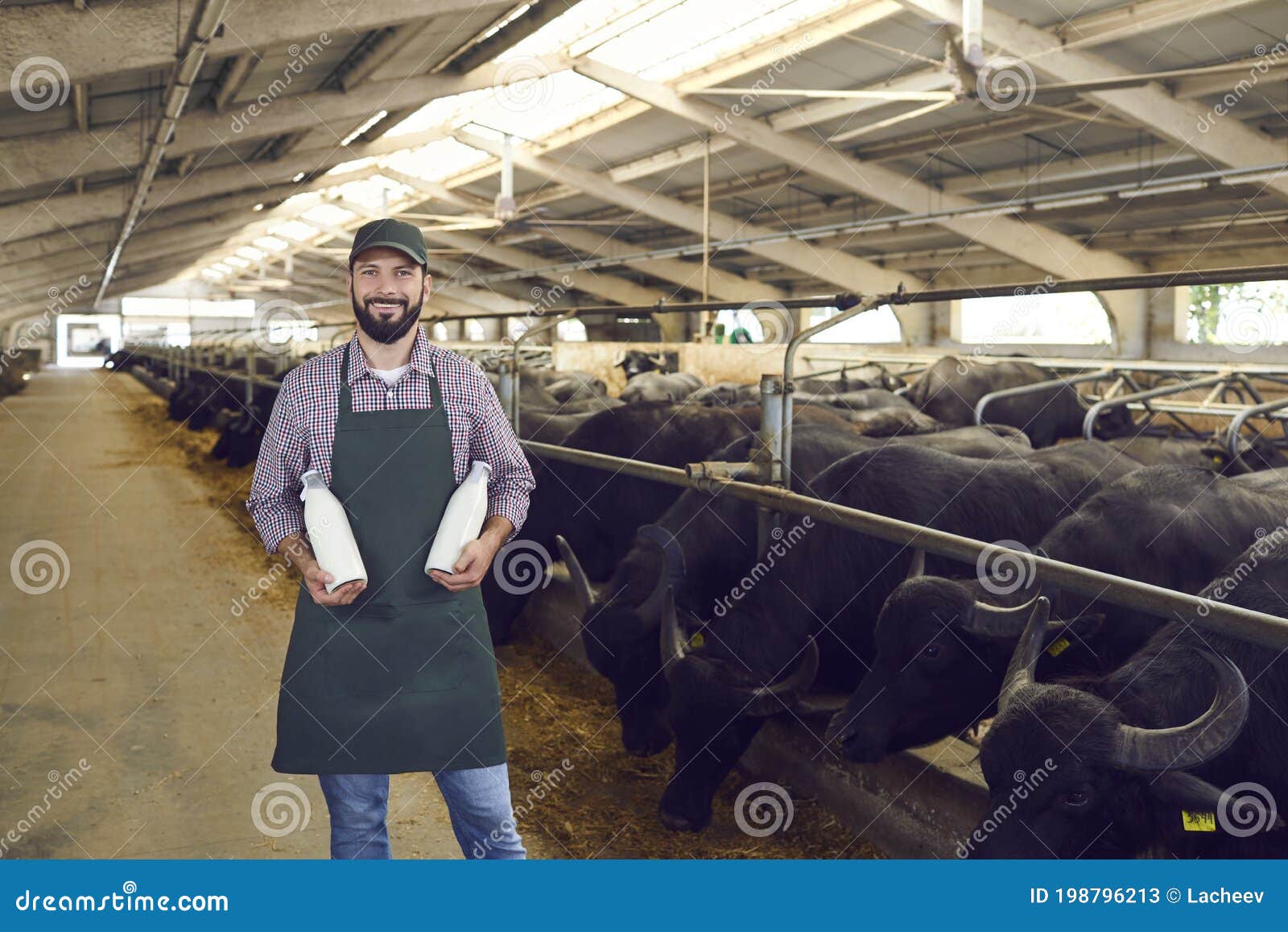 Young Farmer Milking Cows