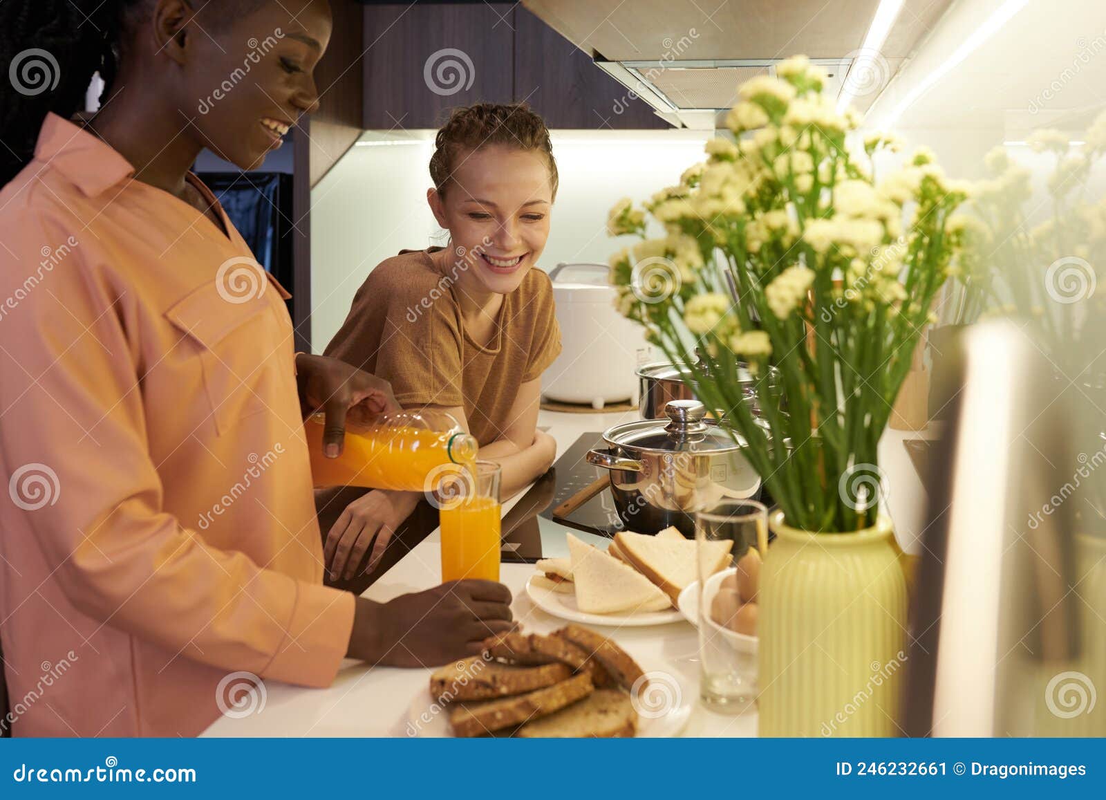 Lesbian Couple Making Breakfast Stock Image Image Of Happiness Lgbt 246232661