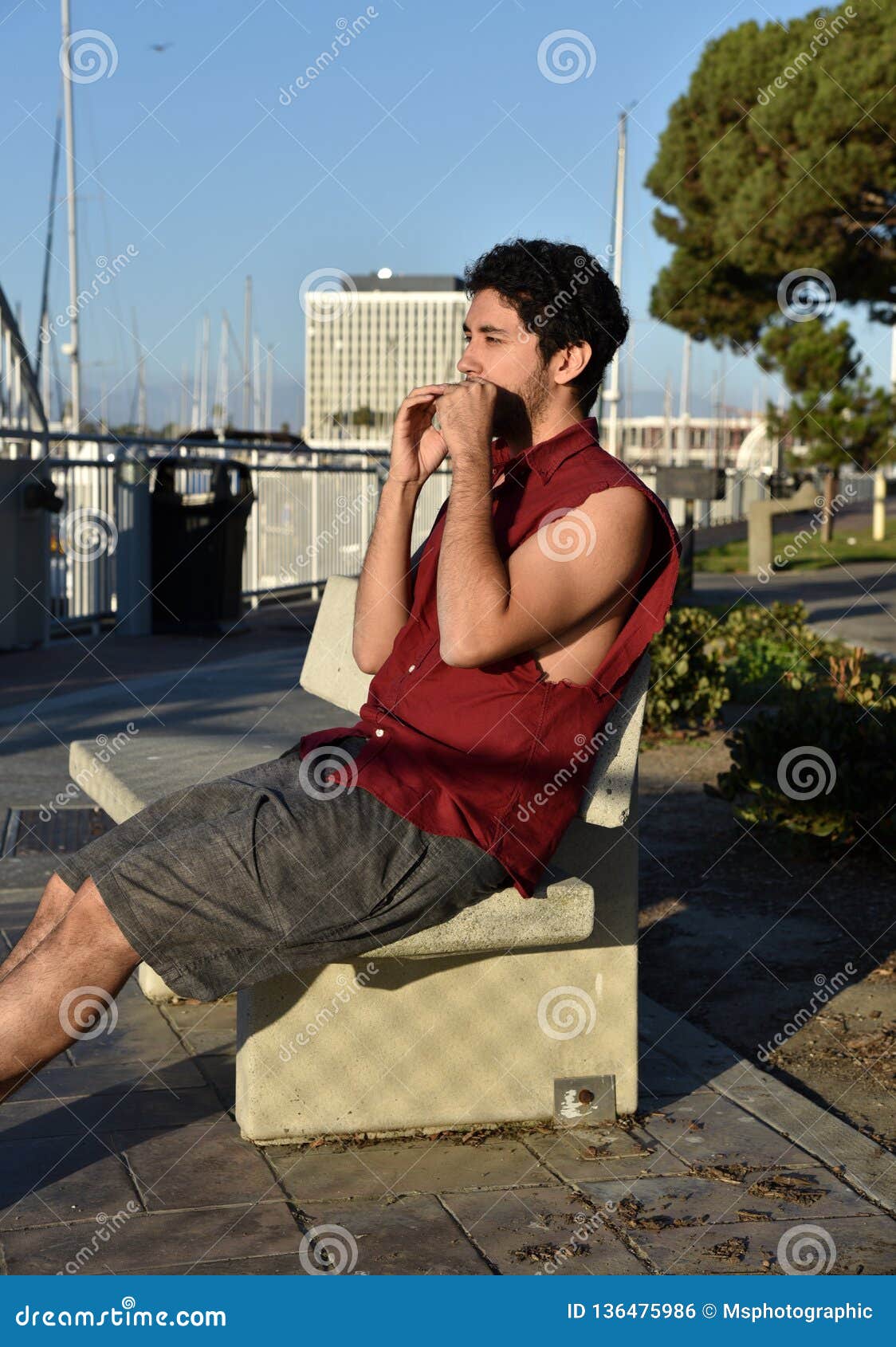 Handsome Young Man Playing the Harmonica Stock Photo Image of