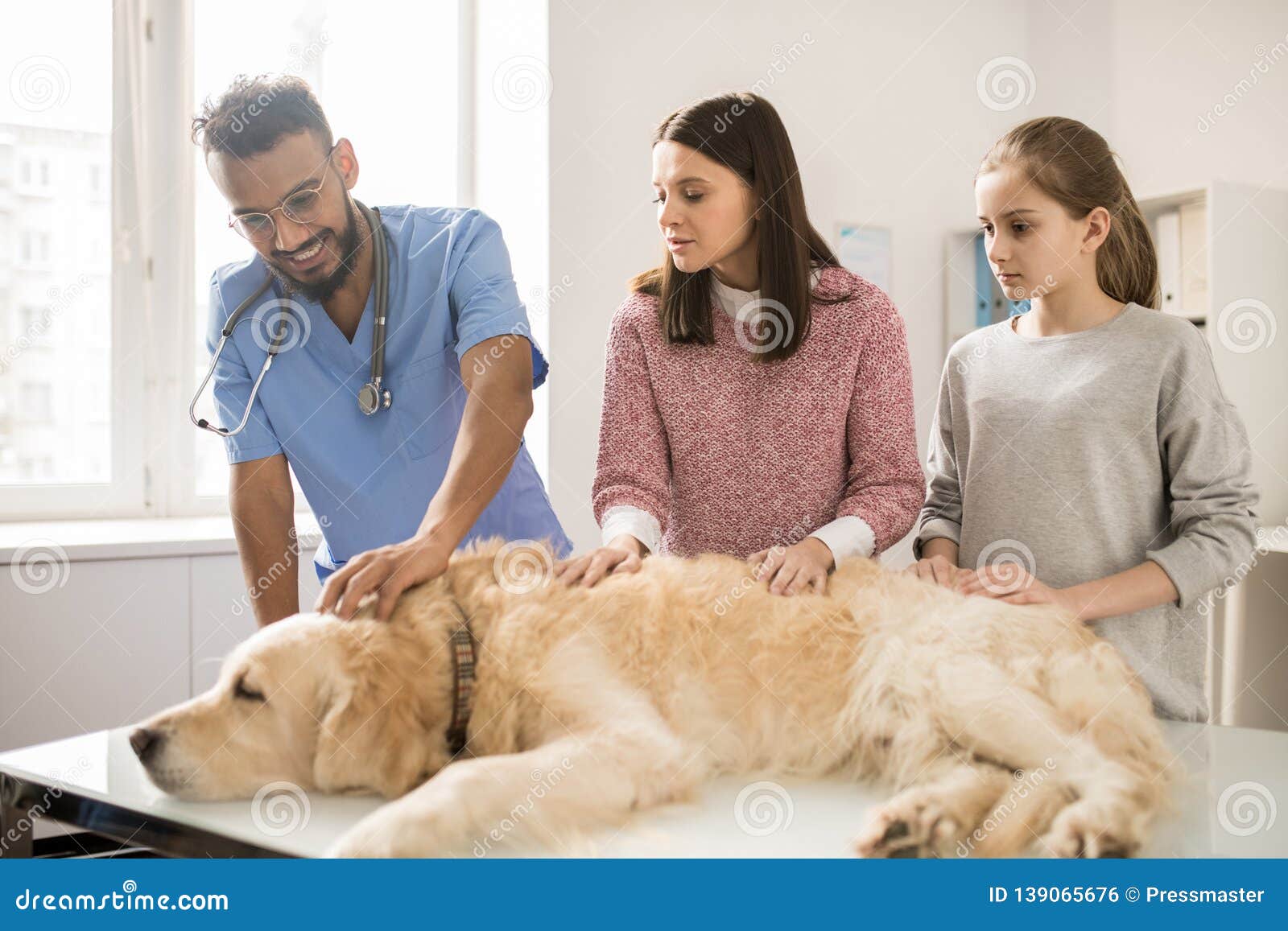 Sick pet care stock photo. Image of patient, canine - 139065676 Sick pet care stock photo. Image of patient, canine - 139065676