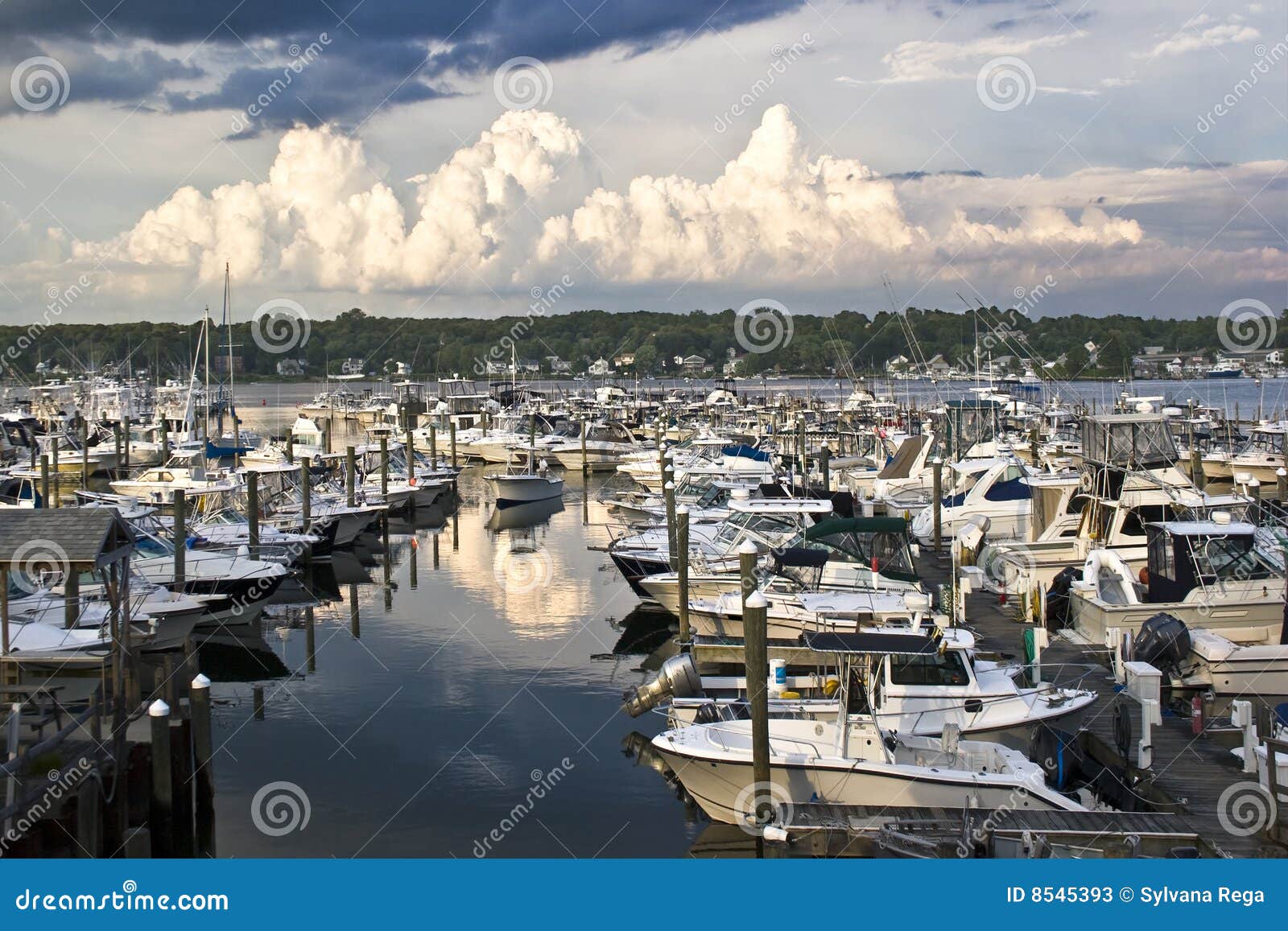 harbor hill marina