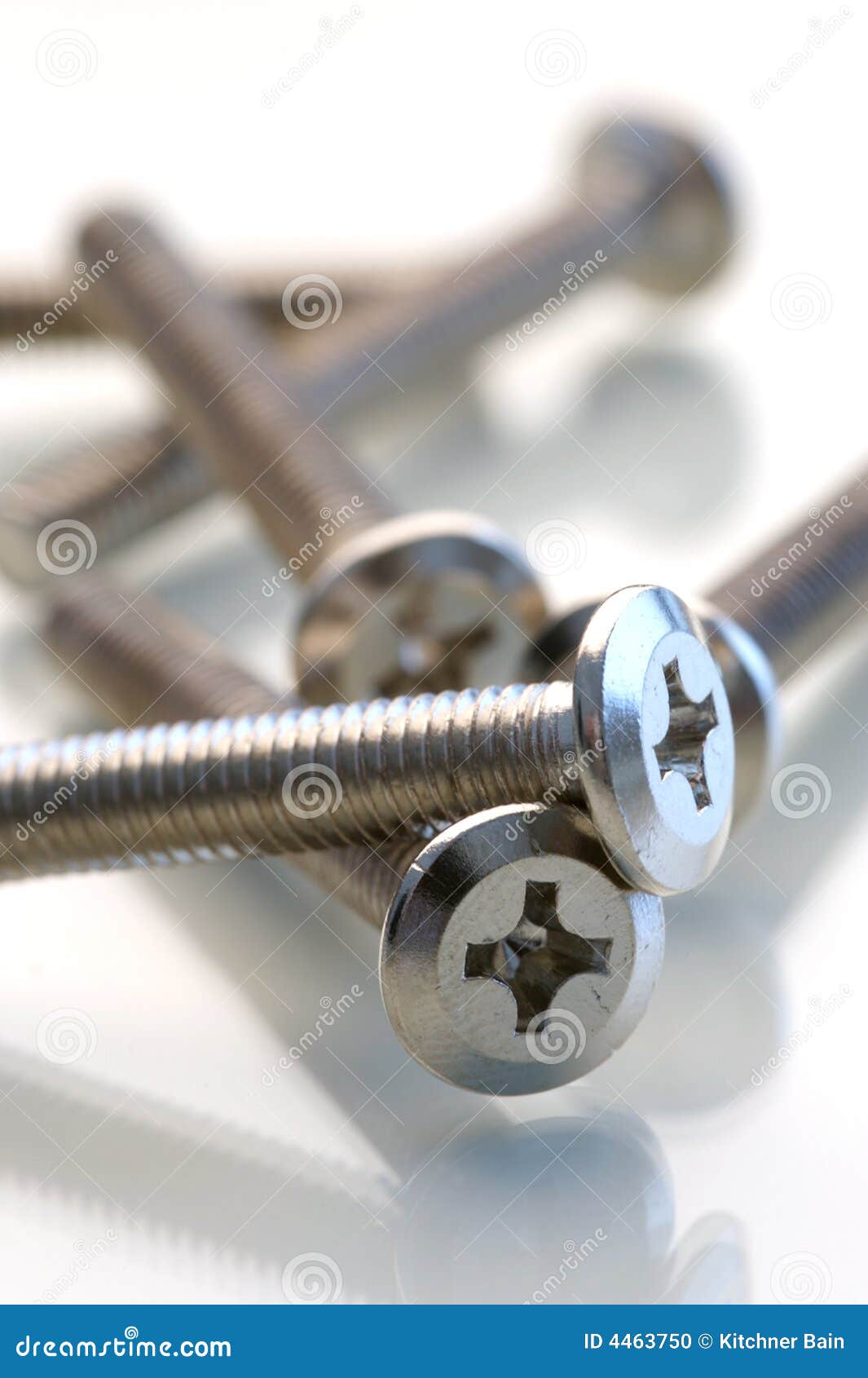 Hardware DIY stock photo. Image of screwdriver, masonary 4463750