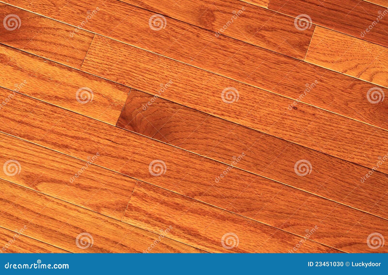 Hardwood floor stock photo. Image of floors, luxury, homes 23451030