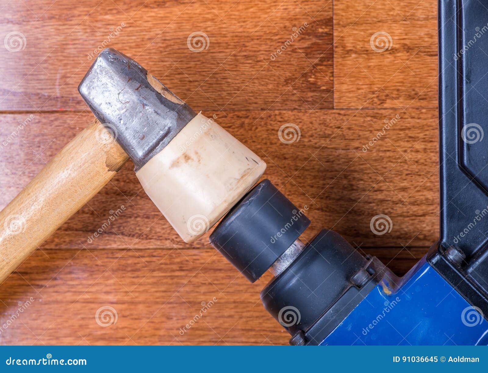 Hardwood Floor Installation Stock Image Image of panel, installing