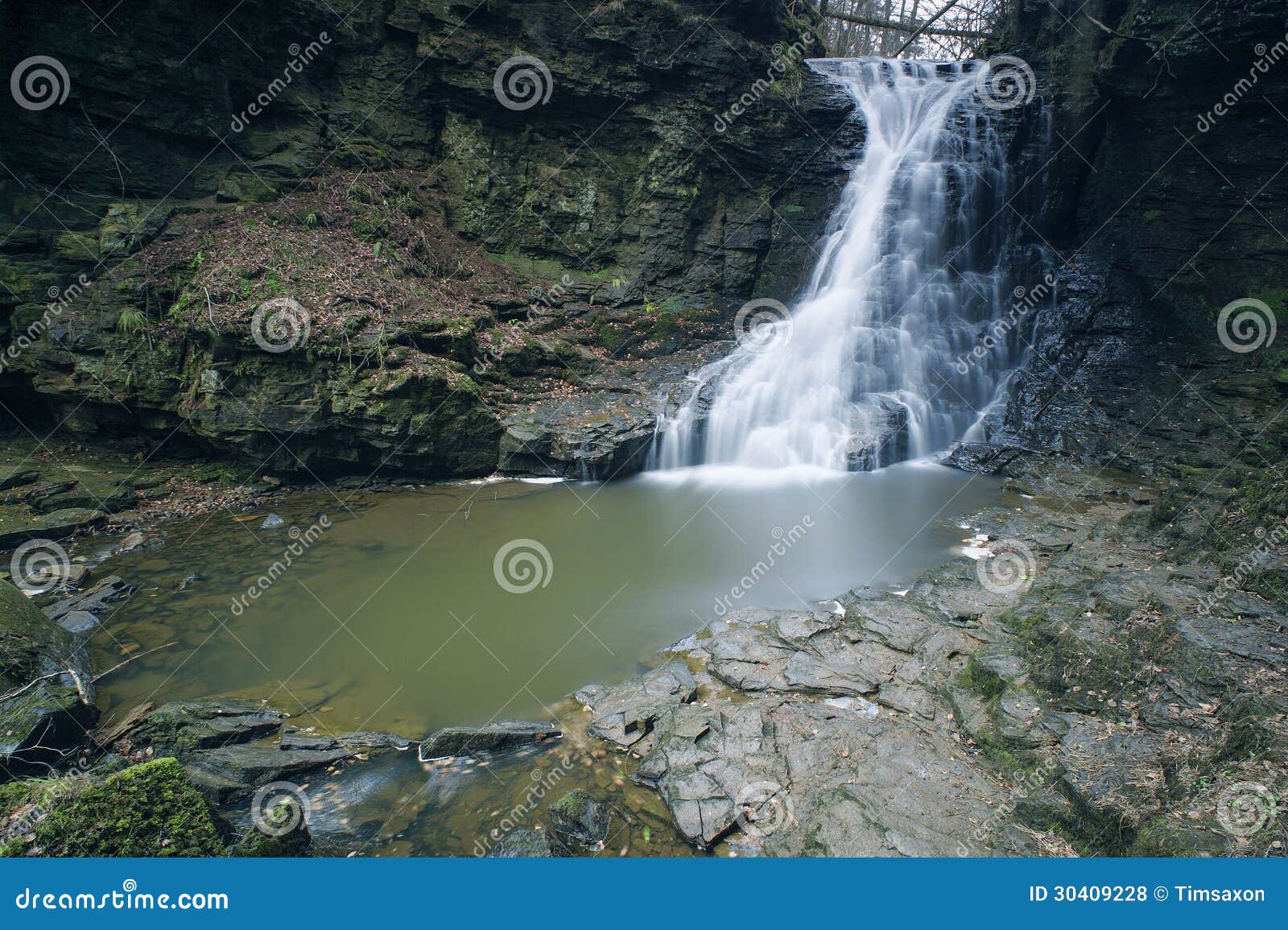 hareshaw linn, northumberland