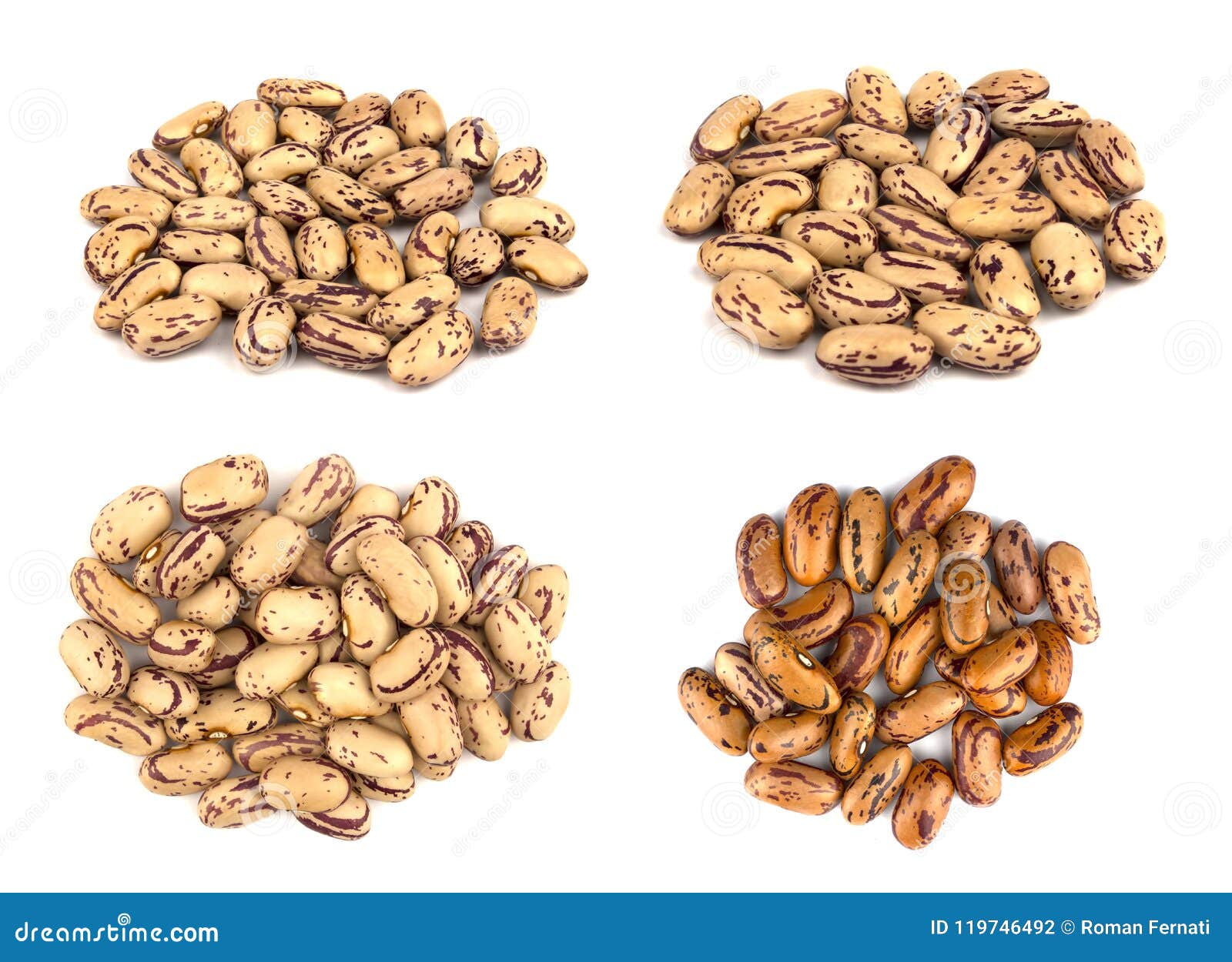 Haricot Beans Isolated on White Background Stock Photo Image of bean, cuisine 119746492